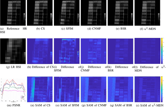 Figure 2 for Unsupervised and Unregistered Hyperspectral Image Super-Resolution with Mutual Dirichlet-Net