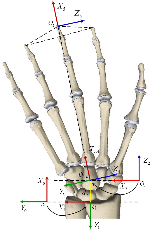 Figure 3 for An Improved Wrist Kinematic Model for Human-Robot Interaction