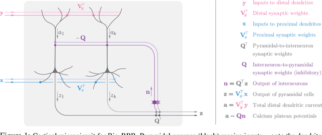 Figure 1 for A simple normative network approximates local non-Hebbian learning in the cortex