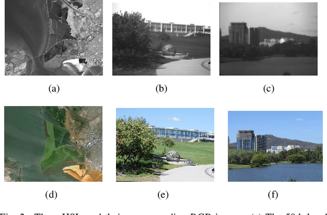 Figure 2 for Visualization of Hyperspectral Images Using Moving Least Squares