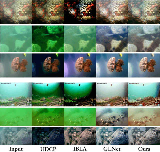 Figure 4 for Underwater Image Enhancement based on Deep Learning and Image Formation Model