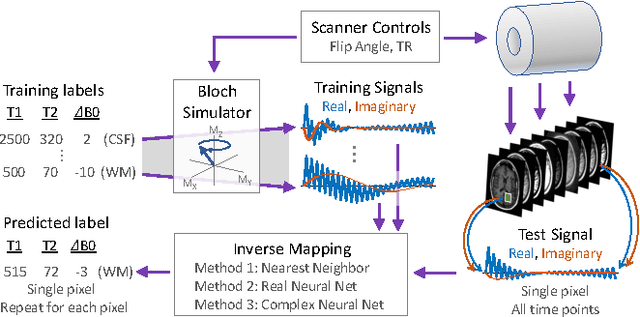 Figure 1 for Better than Real: Complex-valued Neural Nets for MRI Fingerprinting