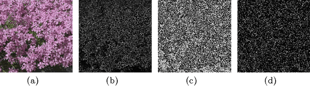 Figure 1 for Affine-Gradient Based Local Binary Pattern Descriptor for Texture Classiffication