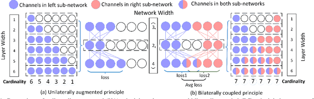 Figure 1 for Searching for Network Width with Bilaterally Coupled Network