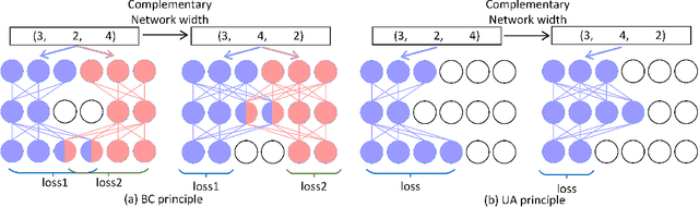 Figure 3 for Searching for Network Width with Bilaterally Coupled Network