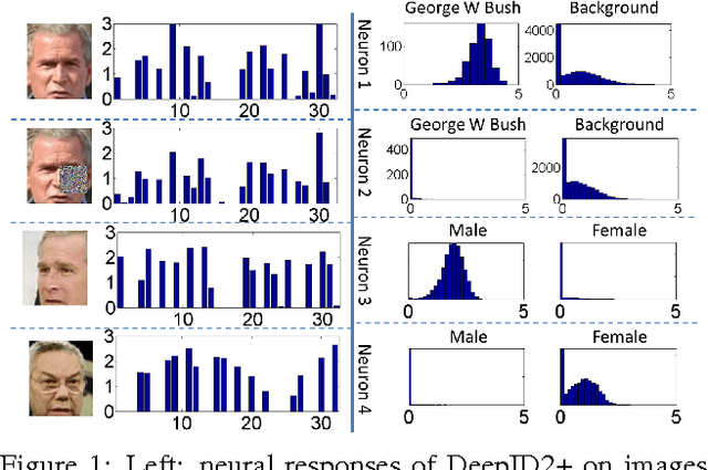 Figure 1 for Deeply learned face representations are sparse, selective, and robust