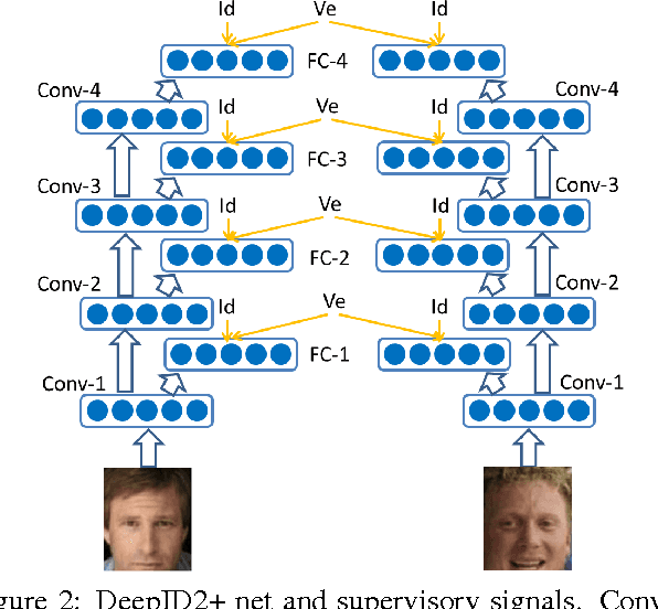 Figure 3 for Deeply learned face representations are sparse, selective, and robust