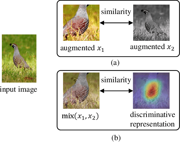 Figure 1 for MixSiam: A Mixture-based Approach to Self-supervised Representation Learning