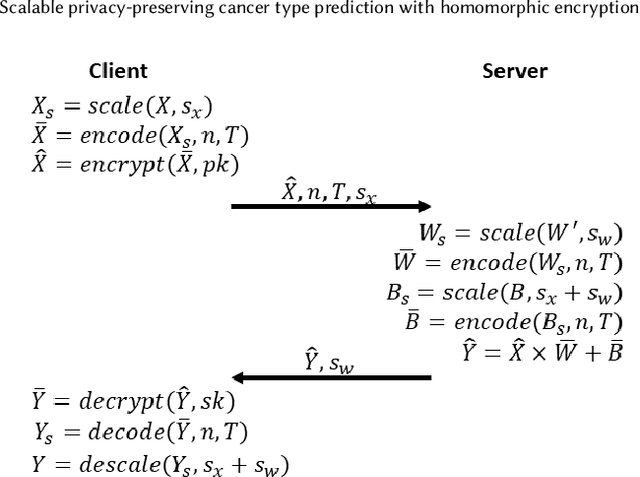 Figure 3 for Scalable privacy-preserving cancer type prediction with homomorphic encryption