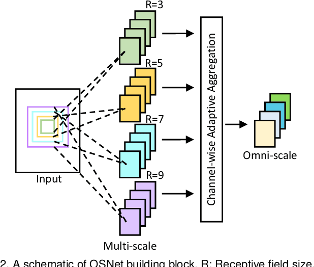 Figure 3 for Learning Generalisable Omni-Scale Representations for Person Re-Identification