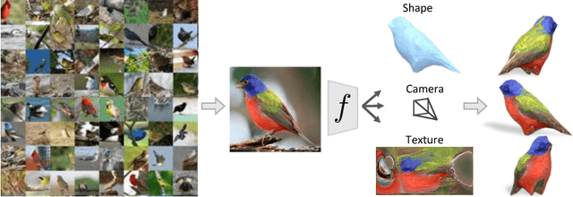Figure 1 for Learning Category-Specific Mesh Reconstruction from Image Collections