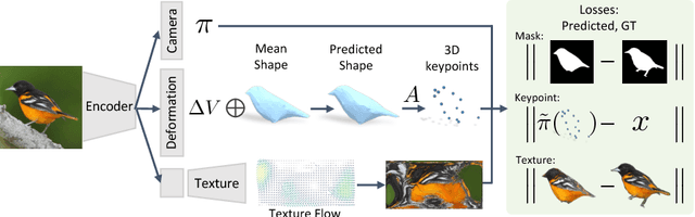 Figure 2 for Learning Category-Specific Mesh Reconstruction from Image Collections