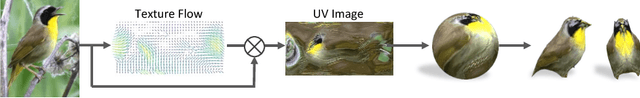 Figure 4 for Learning Category-Specific Mesh Reconstruction from Image Collections