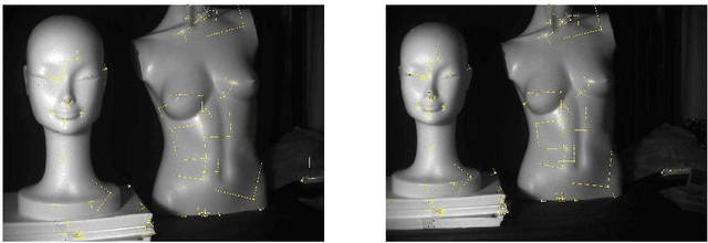 Figure 2 for Recovering Epipolar Geometry from Images of Smooth Surfaces