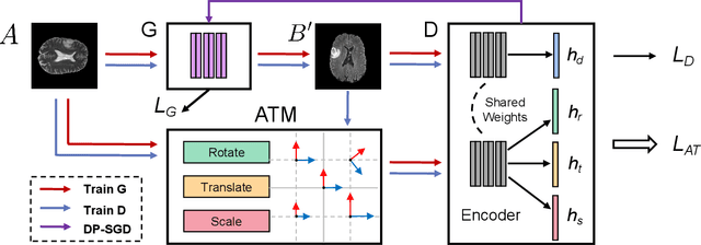 Figure 2 for FedMed-ATL: Misaligned Unpaired Brain Image Synthesis via Affine Transform Loss