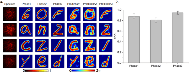 Figure 3 for Recognizing three-dimensional phase images with deep learning