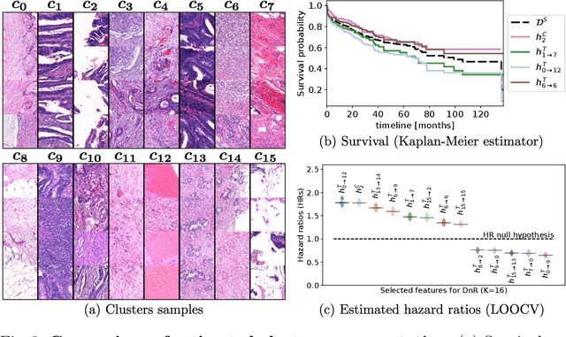 Figure 3 for Divide-and-Rule: Self-Supervised Learning for Survival Analysis in Colorectal Cancer