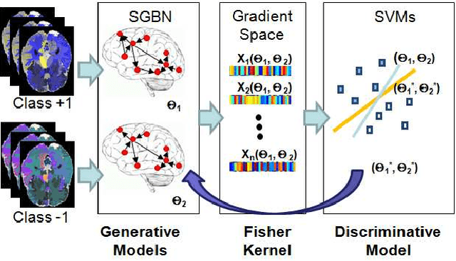 Figure 2 for Learning Discriminative Bayesian Networks from High-dimensional Continuous Neuroimaging Data