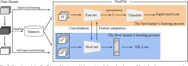 Figure 3 for Continual Learning: Fast and Slow