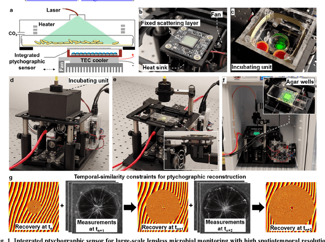 Figure 1 for Ptychographic sensor for large-scale lensless microbial monitoring with high spatiotemporal resolution