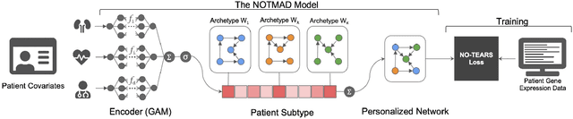 Figure 1 for NOTMAD: Estimating Bayesian Networks with Sample-Specific Structures and Parameters