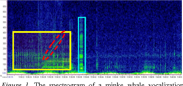 Figure 1 for Bioacoustical Periodic Pulse Train Signal Detection and Classification using Spectrogram Intensity Binarization and Energy Projection