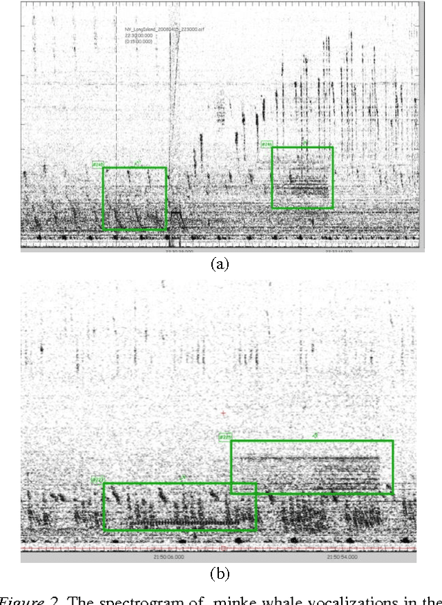 Figure 3 for Bioacoustical Periodic Pulse Train Signal Detection and Classification using Spectrogram Intensity Binarization and Energy Projection