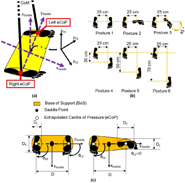 Figure 1 for Deployment of the Saddle Space Transformation in Tracking the Base of Support