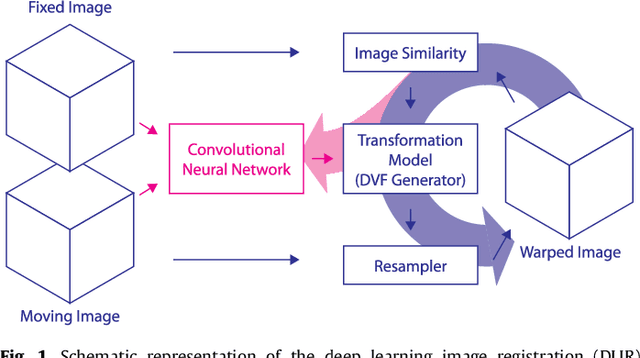 Figure 1 for A Deep Learning Framework for Unsupervised Affine and Deformable Image Registration