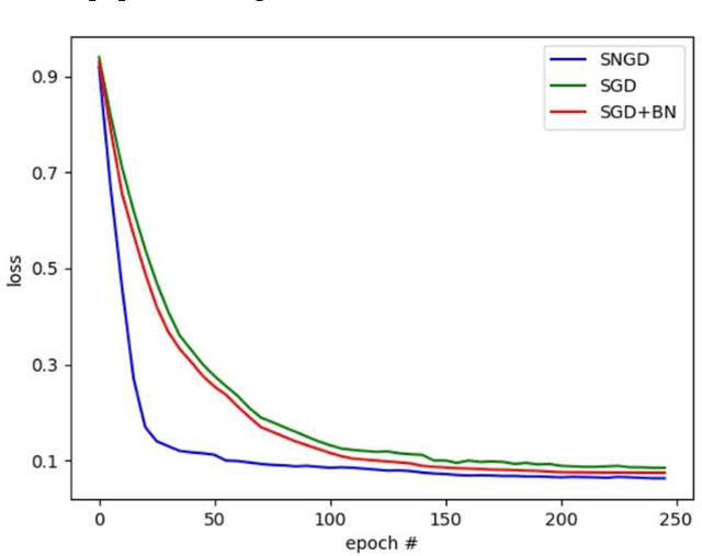 Figure 3 for A Novel Structured Natural Gradient Descent for Deep Learning