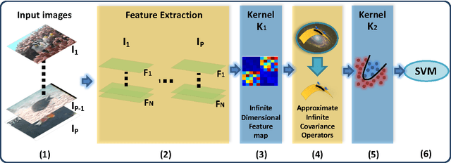 Figure 1 for Kernel Methods on Approximate Infinite-Dimensional Covariance Operators for Image Classification