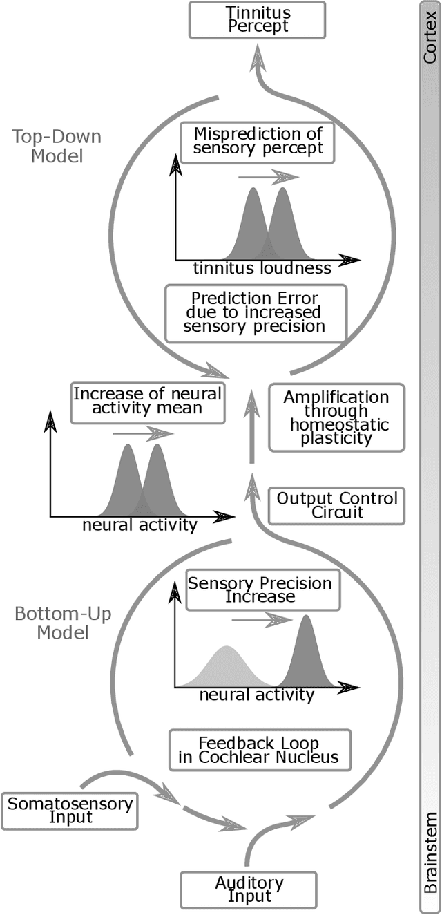 Figure 4 for Predictive Coding and Stochastic Resonance: Towards a Unified Theory of Auditory (Phantom) Perception