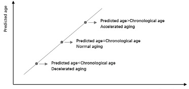 Figure 1 for Machine Learning-based Biological Ageing Estimation Technologies: A Survey