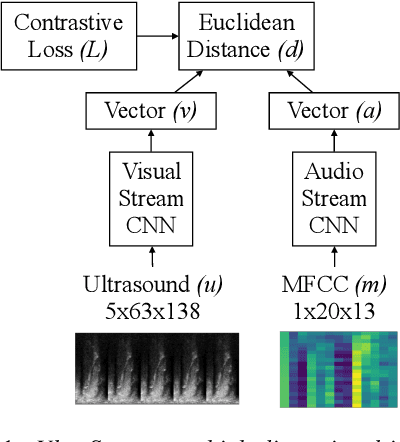 Figure 1 for Synchronising audio and ultrasound by learning cross-modal embeddings