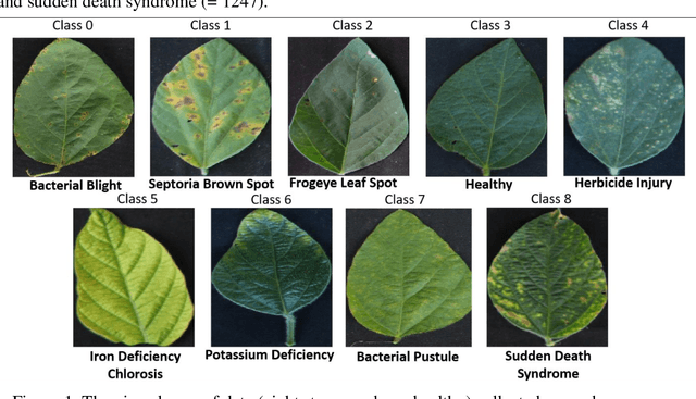 Figure 1 for How useful is Active Learning for Image-based Plant Phenotyping?