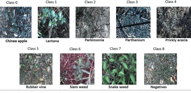 Figure 2 for How useful is Active Learning for Image-based Plant Phenotyping?