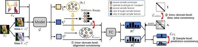 Figure 3 for Multi-level Consistency Learning for Semi-supervised Domain Adaptation