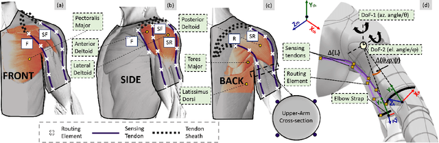 Figure 1 for Design and Prototyping of a Bio-inspired Kinematic Sensing Suit for the Shoulder Joint: Precursor to a Multi-DoF Shoulder Exosuit