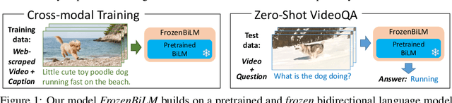 Figure 1 for Zero-Shot Video Question Answering via Frozen Bidirectional Language Models