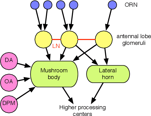 Figure 1 for Fast, Smart Neuromorphic Sensors Based on Heterogeneous Networks and Mixed Encodings