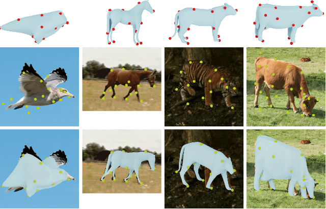 Figure 1 for Learning monocular 3D reconstruction of articulated categories from motion