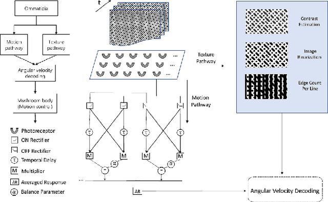 Figure 1 for Profiling Visual Dynamic Complexity Using a Bio-Robotic Approach