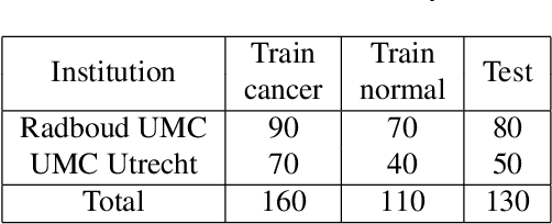 Figure 2 for Deep Learning for Identifying Metastatic Breast Cancer