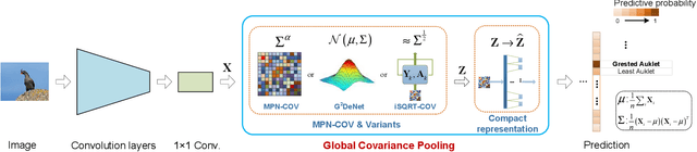 Figure 1 for Deep CNNs Meet Global Covariance Pooling: Better Representation and Generalization