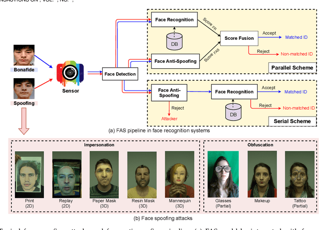 Figure 3 for Deep Learning for Face Anti-Spoofing: A Survey