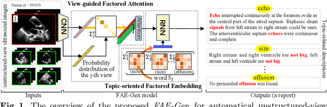 Figure 1 for Factored Attention and Embedding for Unstructured-view Topic-related Ultrasound Report Generation