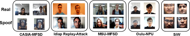 Figure 4 for Federated Generalized Face Presentation Attack Detection
