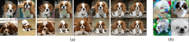 Figure 3 for Large Scale GAN Training for High Fidelity Natural Image Synthesis