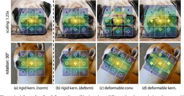 Figure 1 for Deformable Kernels: Adapting Effective Receptive Fields for Object Deformation