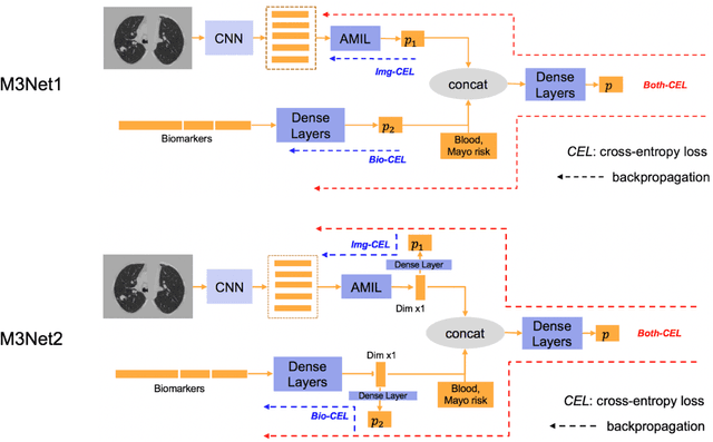 Figure 3 for Deep Multi-path Network Integrating Incomplete Biomarker and Chest CT Data for Evaluating Lung Cancer Risk